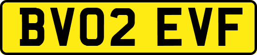 BV02EVF