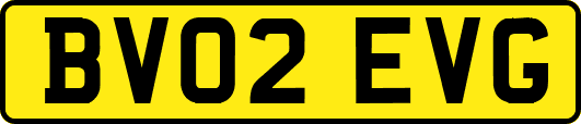 BV02EVG