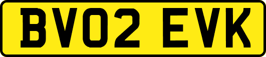 BV02EVK
