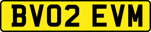 BV02EVM