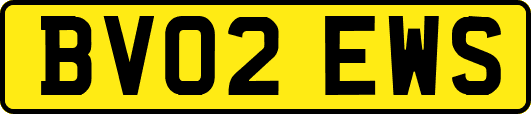 BV02EWS