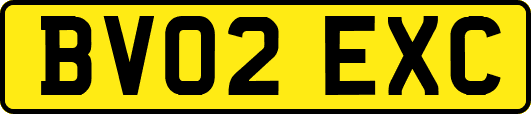 BV02EXC
