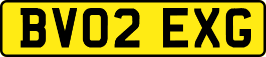 BV02EXG