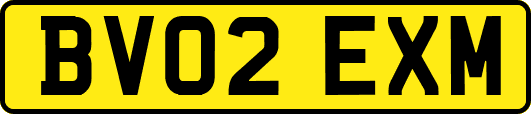 BV02EXM