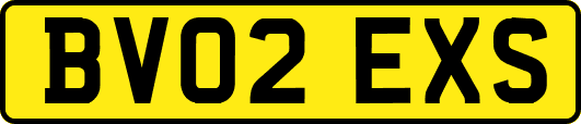 BV02EXS