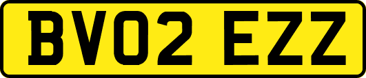 BV02EZZ