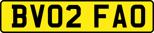 BV02FAO