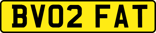 BV02FAT