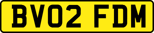 BV02FDM