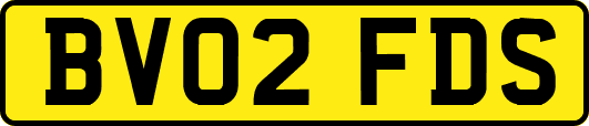 BV02FDS