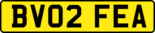 BV02FEA