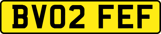 BV02FEF
