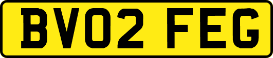 BV02FEG