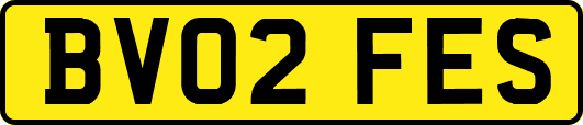 BV02FES