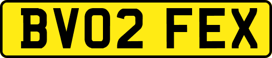 BV02FEX
