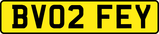 BV02FEY