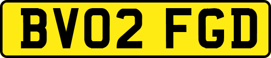 BV02FGD