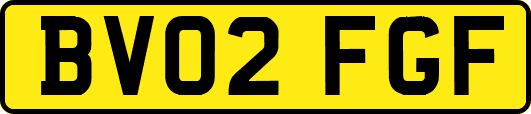 BV02FGF
