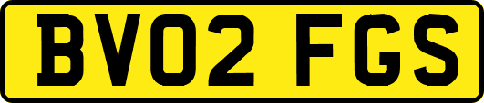 BV02FGS