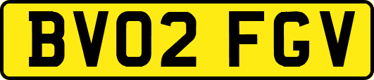 BV02FGV