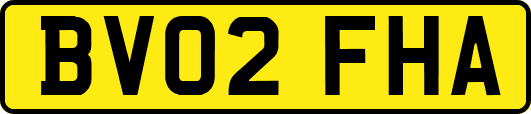 BV02FHA