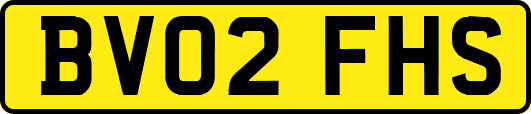 BV02FHS