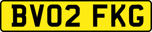 BV02FKG