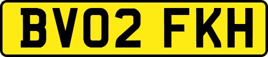 BV02FKH