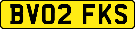 BV02FKS