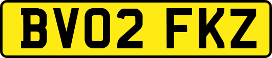 BV02FKZ