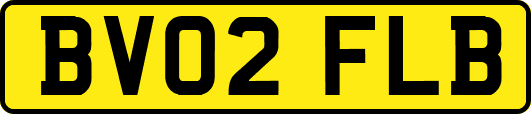 BV02FLB