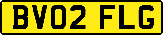 BV02FLG