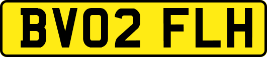 BV02FLH