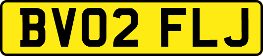 BV02FLJ
