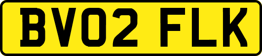 BV02FLK
