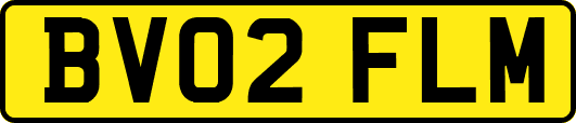 BV02FLM