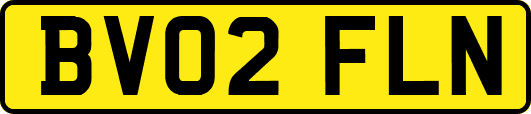 BV02FLN