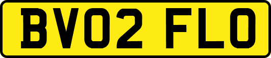 BV02FLO