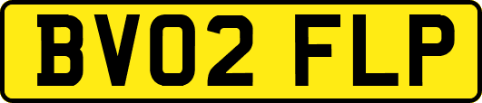 BV02FLP