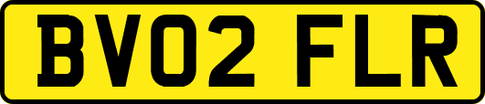 BV02FLR
