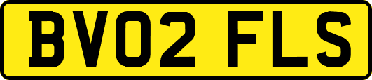 BV02FLS