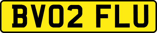 BV02FLU