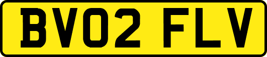 BV02FLV