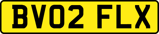 BV02FLX