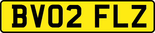 BV02FLZ