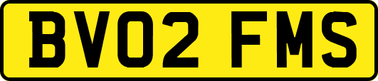 BV02FMS