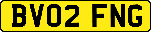 BV02FNG