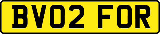 BV02FOR