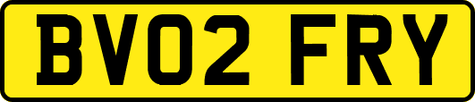 BV02FRY