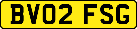 BV02FSG